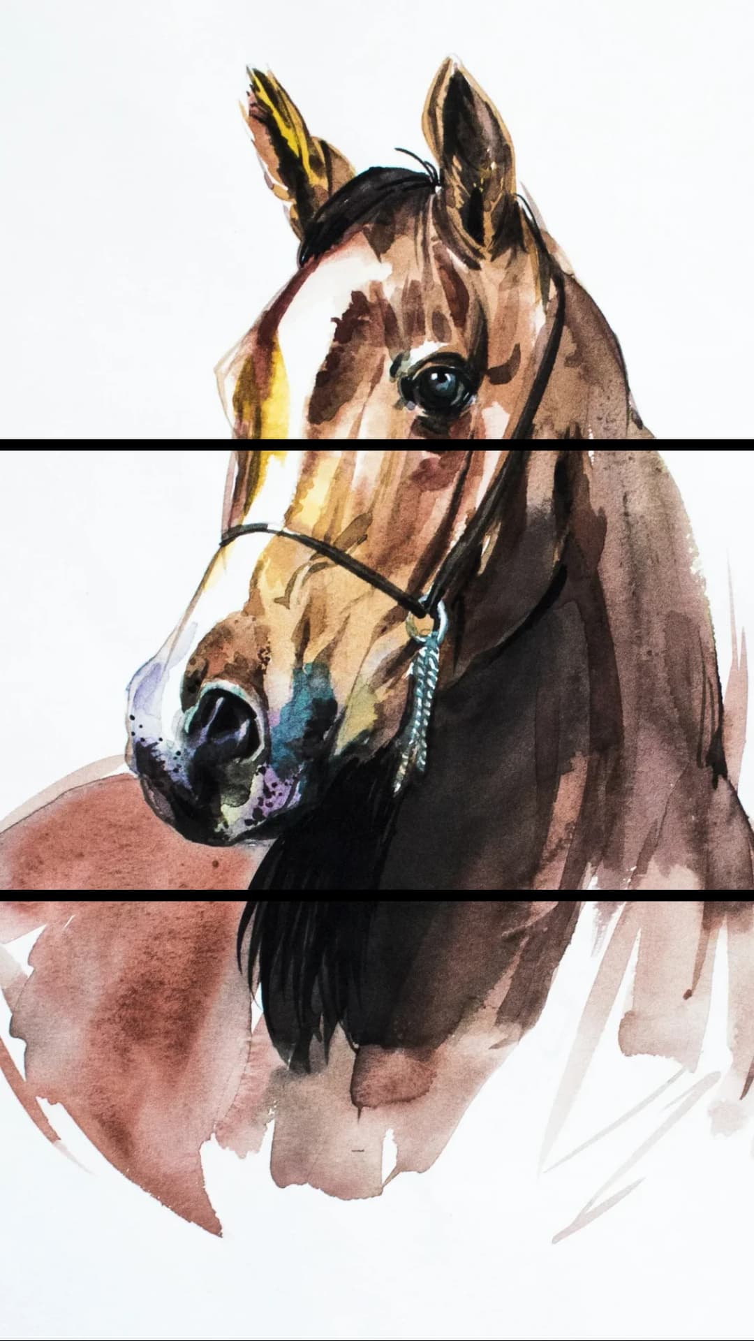 Arabian Horse Portrait – 3 Panels