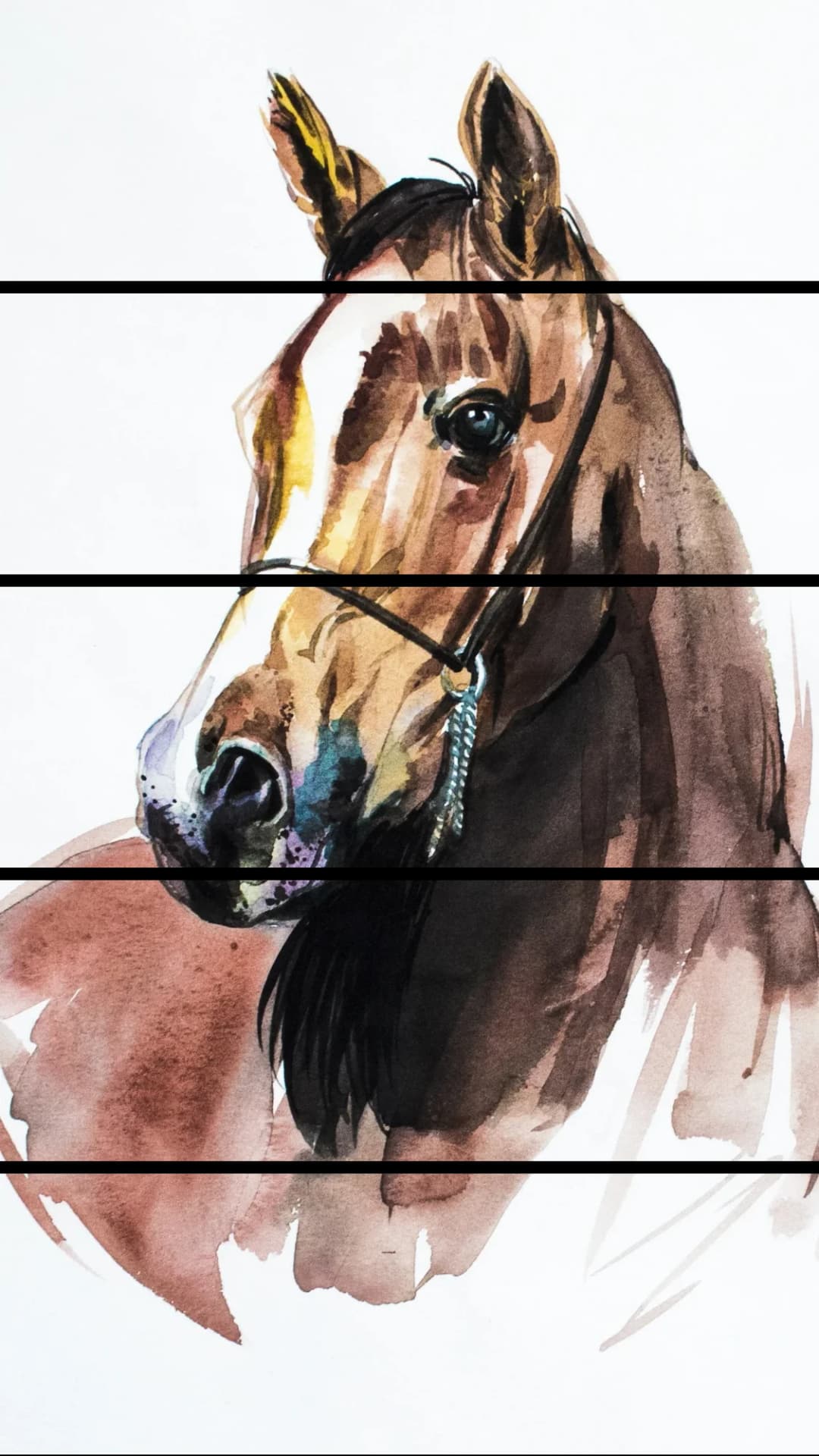 Arabian Horse Portrait – 5 Panels Straight