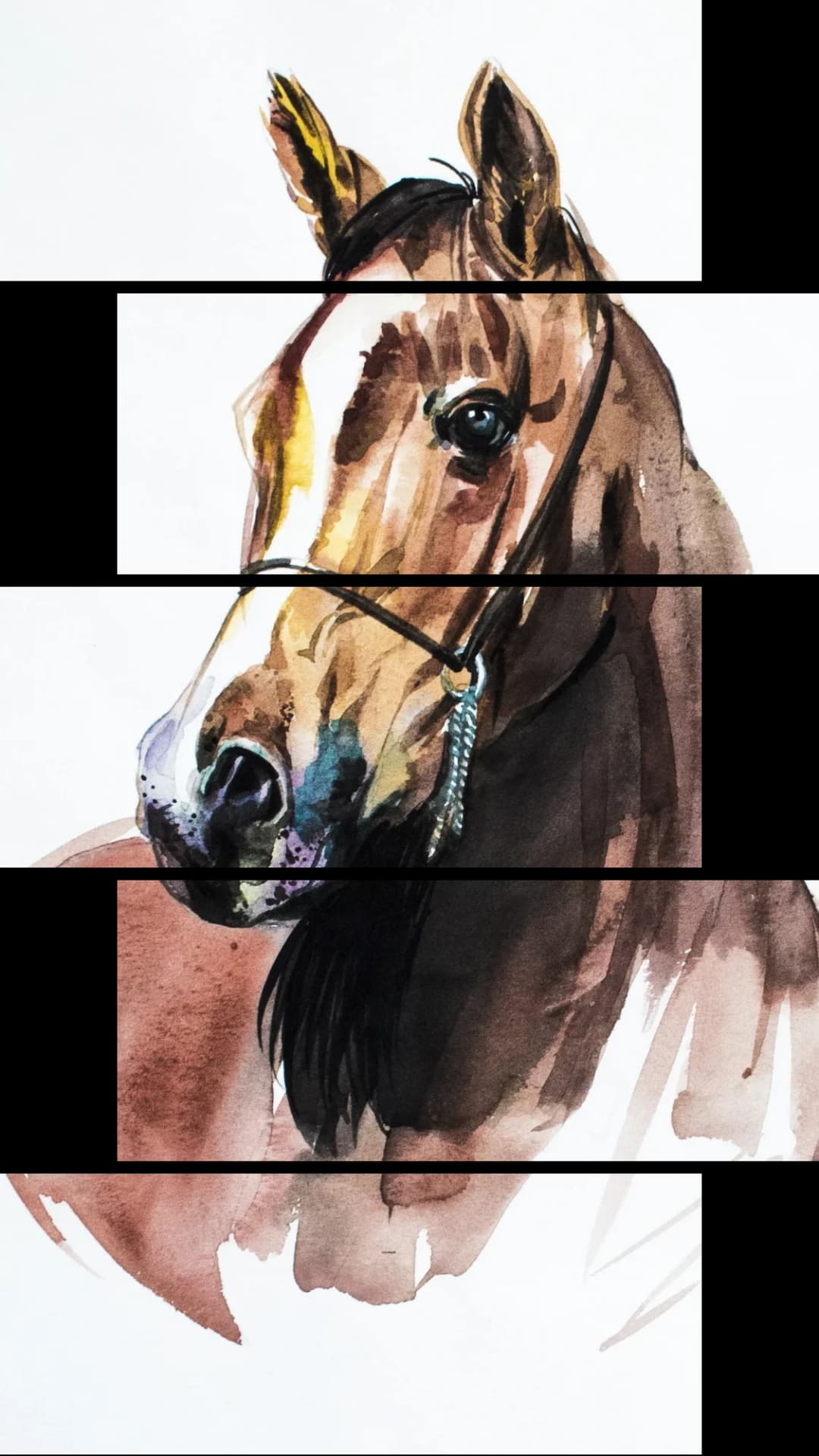 Arabian Horse Portrait – 5 Panels Up & Down