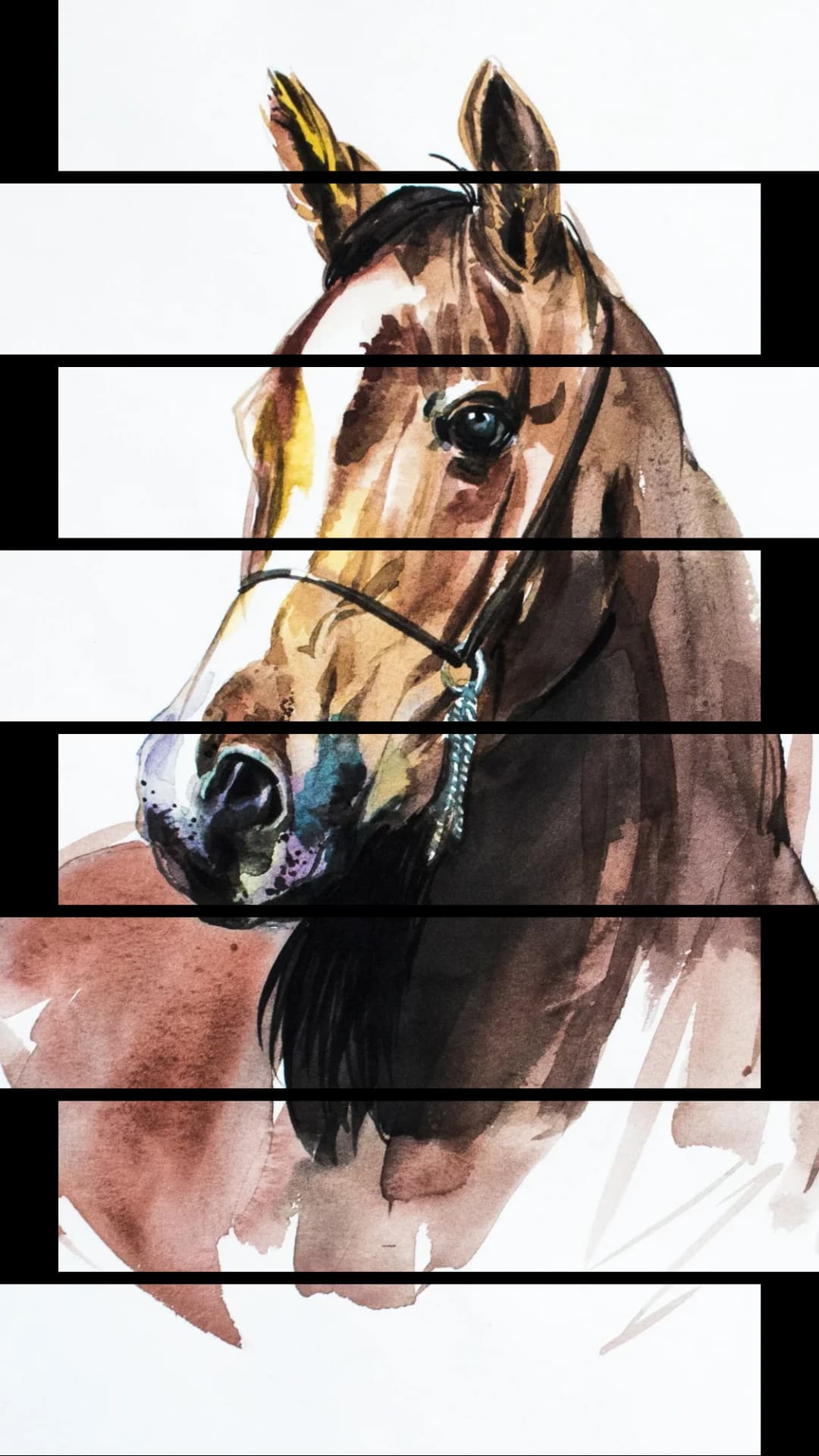 Arabian Horse Portrait – 8 Panels Up & Down