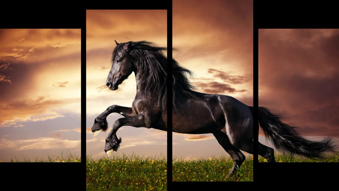 Black Horse Sunset – 4 Panels