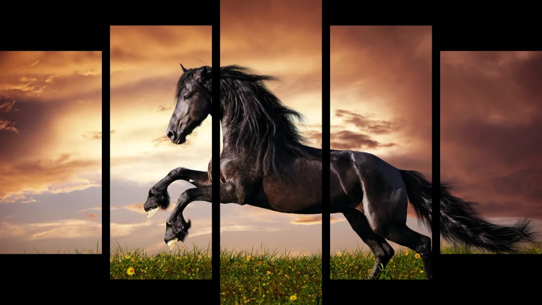 Black Horse Sunset – 5 Panels Hierarchy