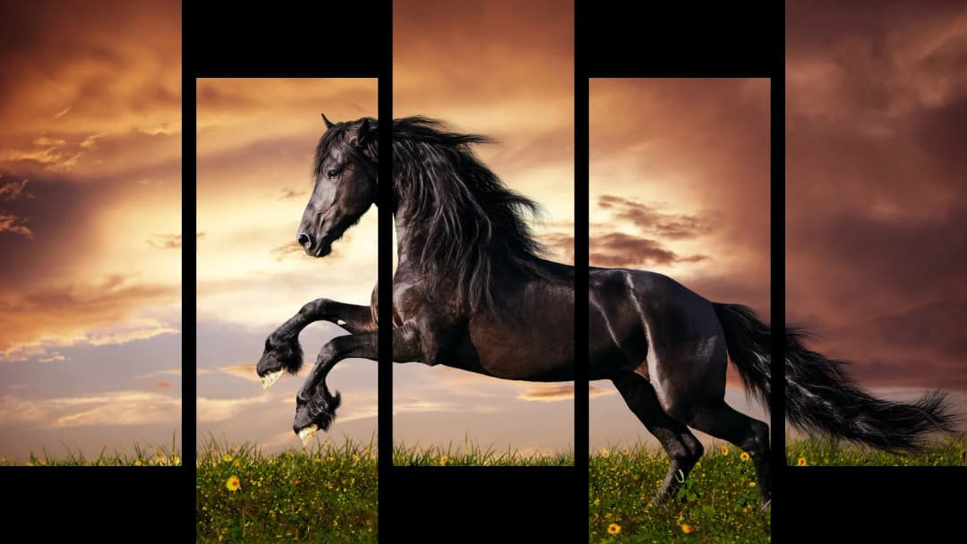 Black Horse Sunset – 5 Panels Up & Down