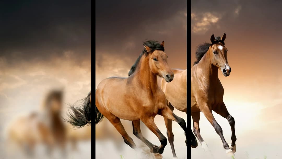 Buckskin Horses Running – 3 Panels