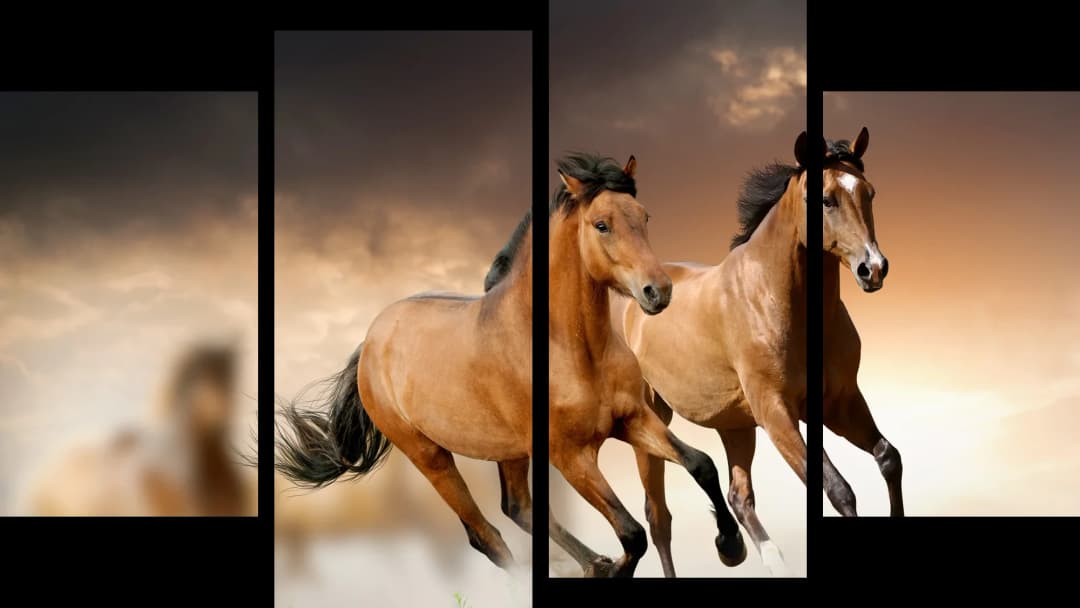 Buckskin Horses Running – 4 Panels