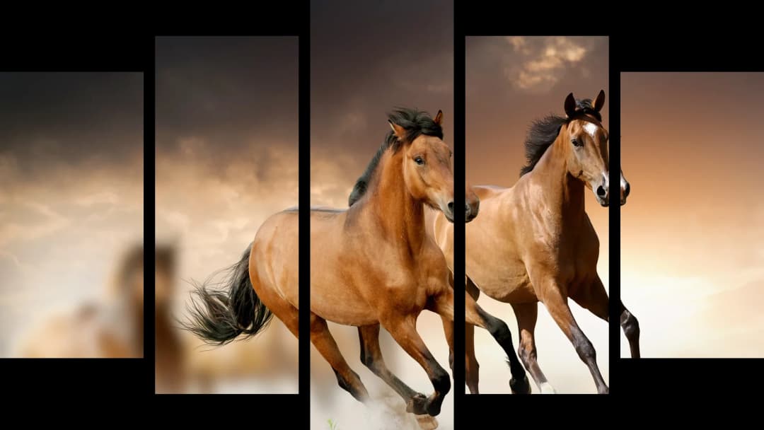 Buckskin Horses Running – 5 Panels Hierarchy