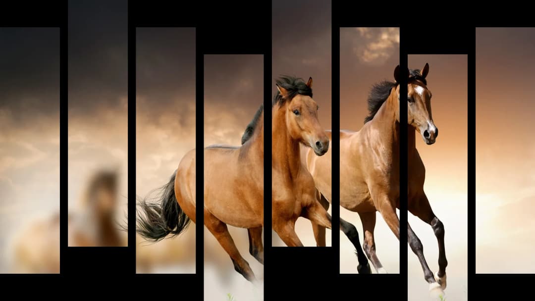 Buckskin Horses Running – 8 Panels Hierarchy