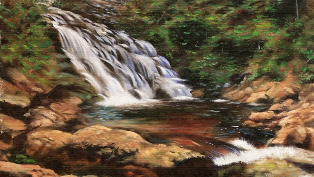 Forest Waterfall Rocky Stream