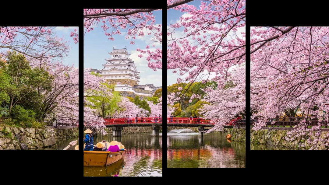 Japanese Cherry Blossom Castle – 4 Panels