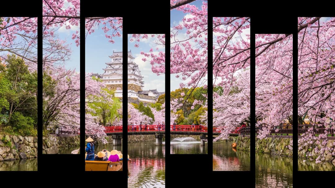 Japanese Cherry Blossom Castle – 8 Panels Hierarchy