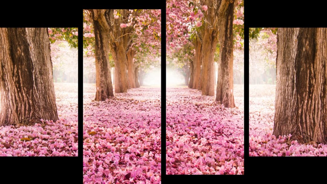 Pink Blossom Path – 4 Panels