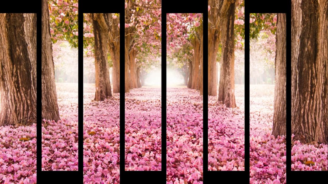 Pink Blossom Path – 8 Panels Up & Down