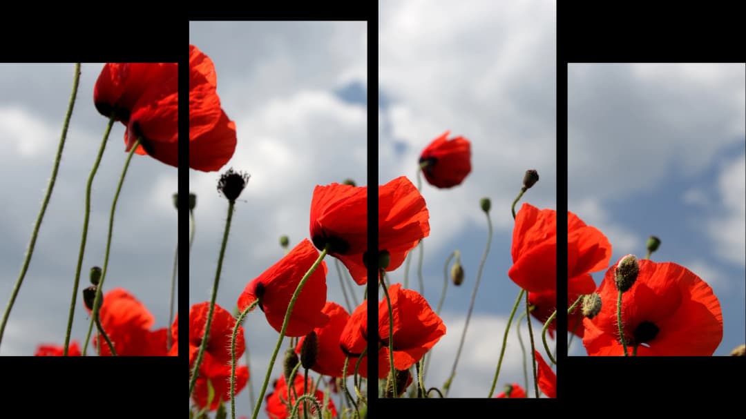 Red Poppies Sky – 4 Panels
