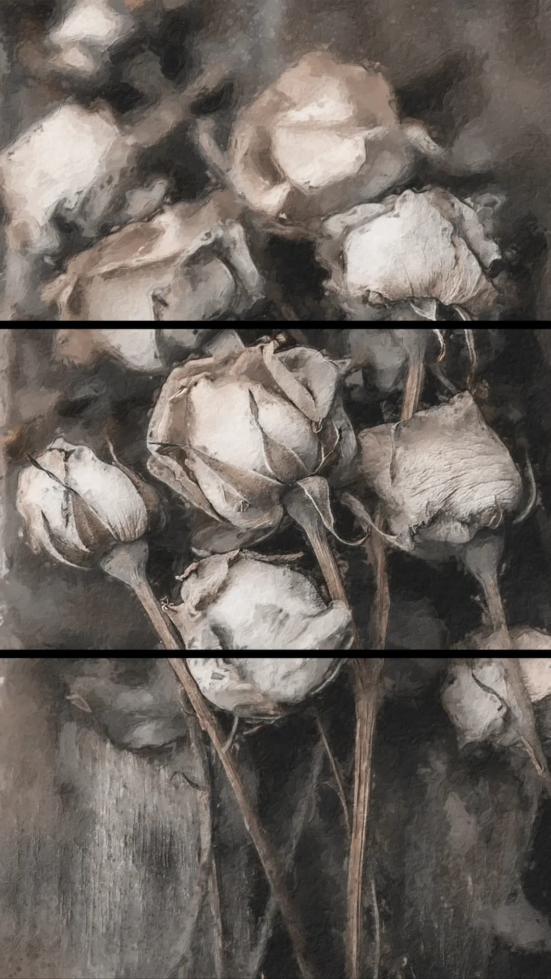 Sepia Dried Roses – 3 Panels