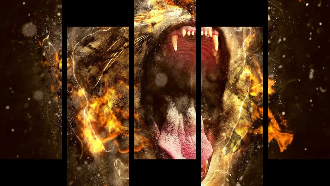 Tiger in Flames – 5 Panels Up & Down