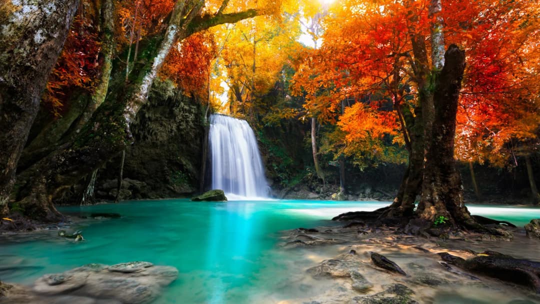 Tropical Waterfall Turquoise Pool