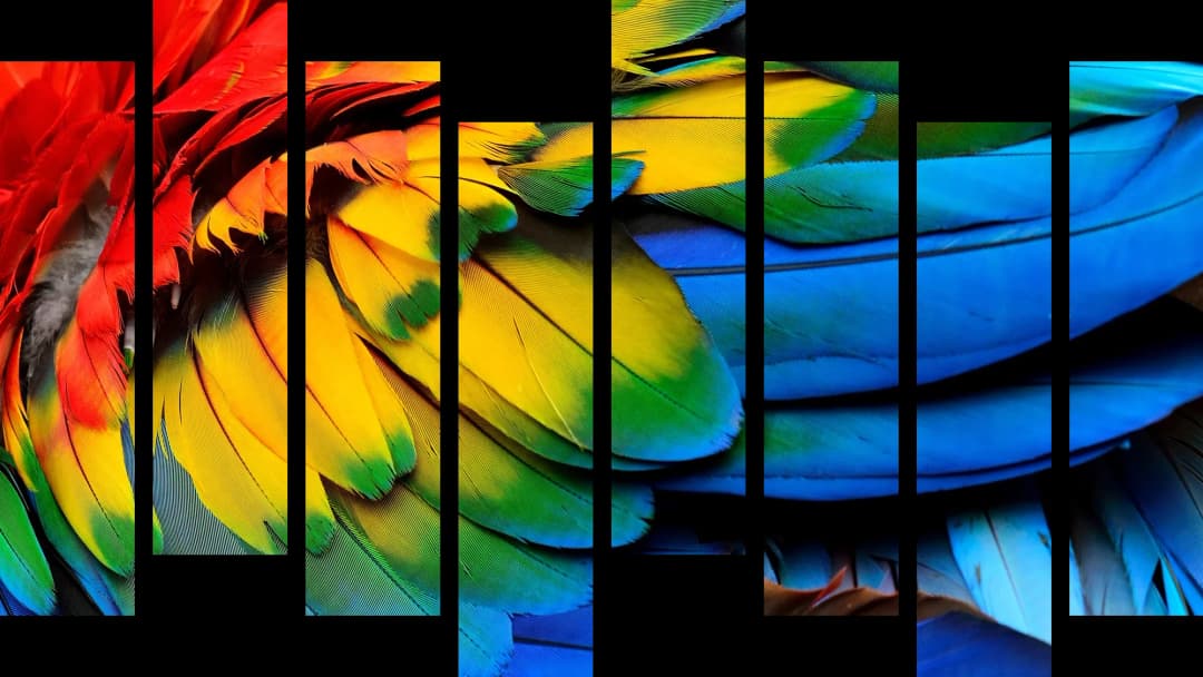 Vibrant Macaw Feathers – 8 Panels Hierarchy