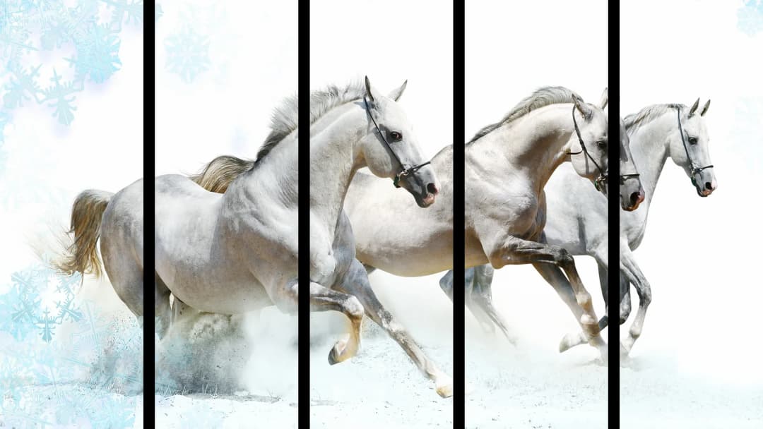 White Horses Winter – 5 Panels Straight