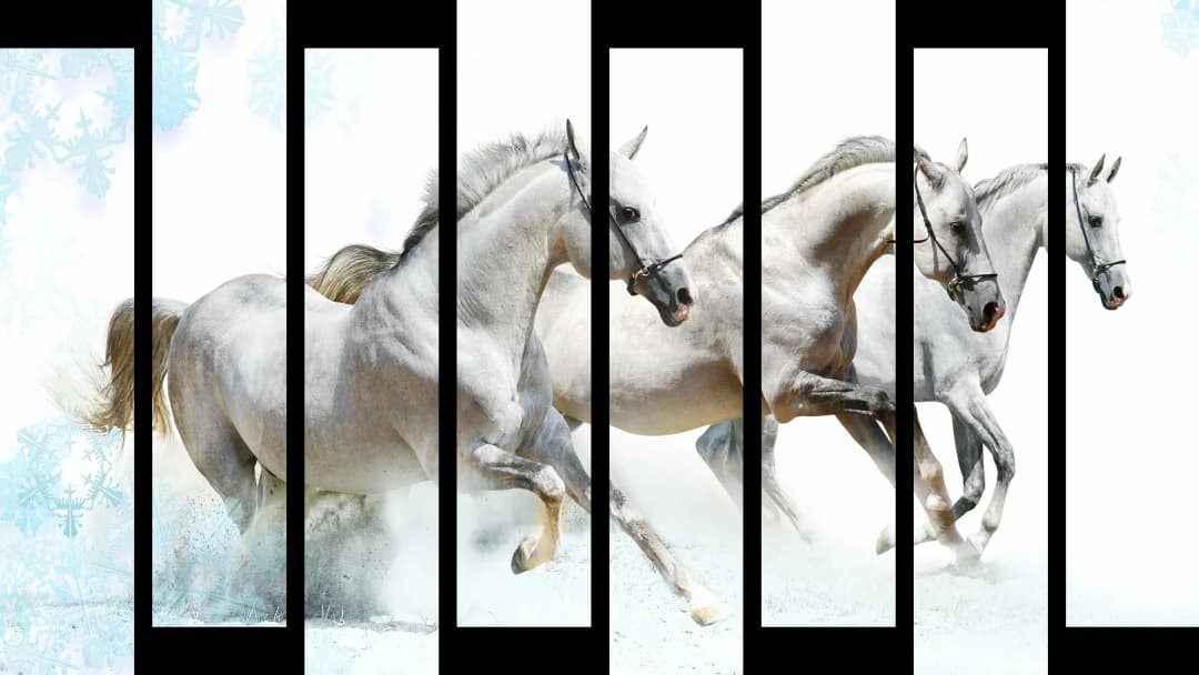 White Horses Winter – 8 Panels Up & Down