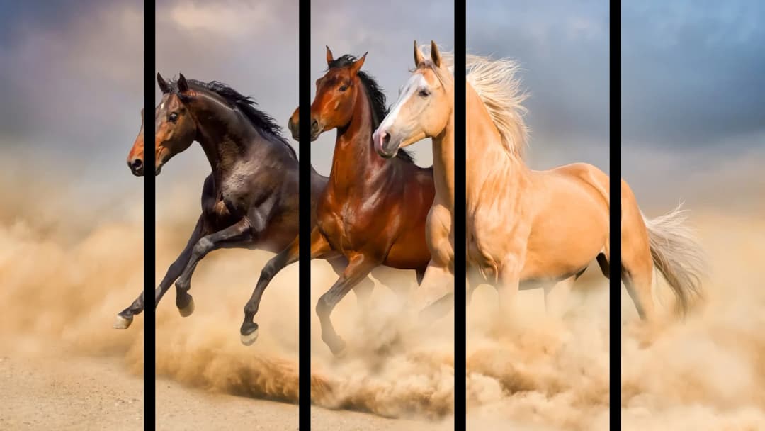Wild Desert Horses – 5 Panels Straight