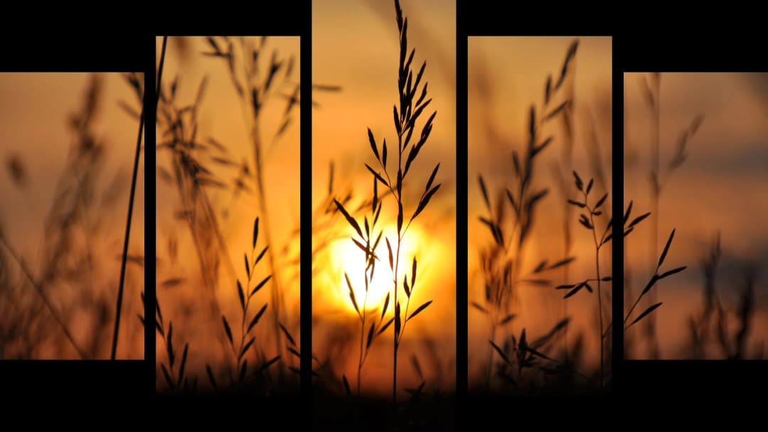 Wild Grass Sunset Silhouette – 5 Panels Hierarchy
